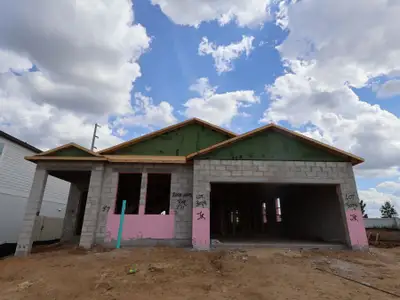 New construction Single-Family house 38310 Tobiano Lp, Dade City, FL 33525 plan Picasso Bonus - image