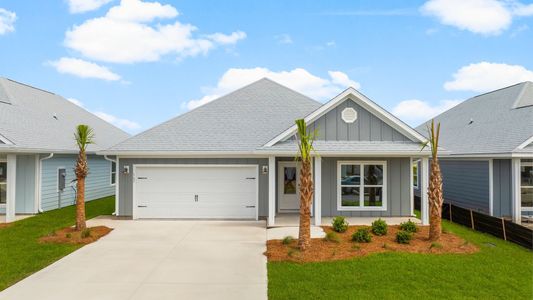New construction Single-Family house 167 Needle Rush Dr, Port Saint Joe, FL 32456 plan The Rhett - image