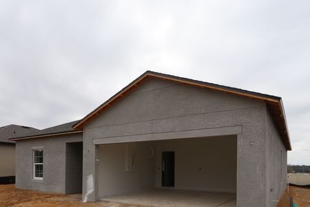 New construction Single-Family house 12263 Hilltop Farms Dr, Dade City, FL 33525 Sentinel- photo 58 58