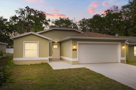 New construction Single-Family house 706 Beecher St, Leesburg, FL 34748 - image