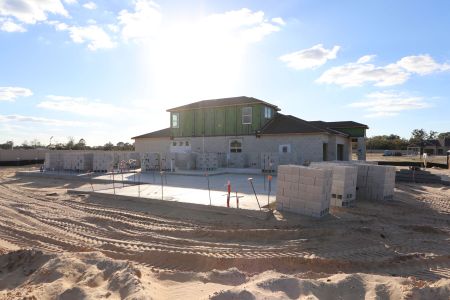 New construction Single-Family house 2350 Clary Sage Dr, Spring Hill, FL 34609 Sonoma II- photo 11 11