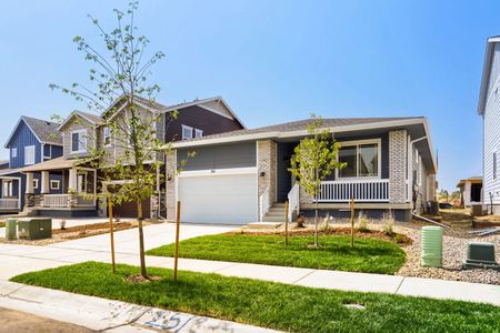 New construction Single-Family house 251 Sugar Beet Ln, Berthoud, CO 80513 plan Alpine - image