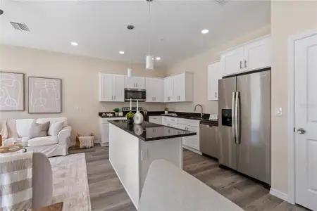 New construction Townhouse house 4344 Cambio Gardens Ct, Tampa, FL 33610 - image 10