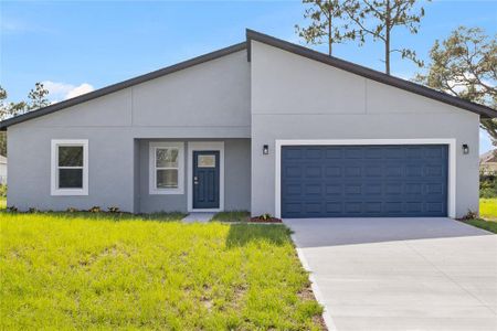 New construction Single-Family house 17739 Sw 35Th Avenue Rd, Ocala, FL 34473 - image