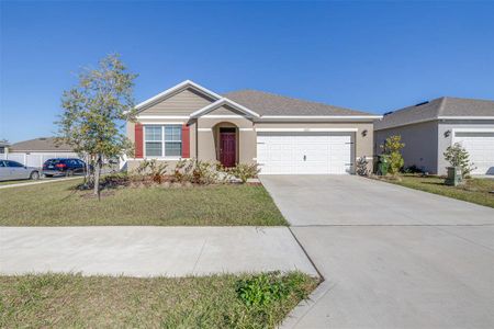 New construction Single-Family house 3821 Diving Dove Ln, Bartow, FL 33830 - image