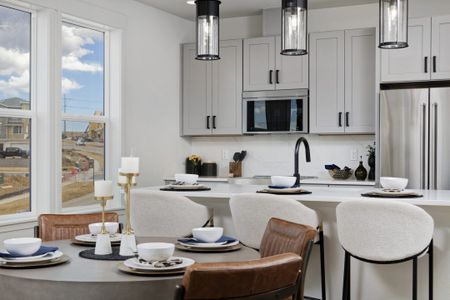 New construction Townhouse house 10840 Lyric St, Lone Tree, CO 80134 plan Newton - image 11