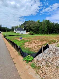 New construction Single-Family house 2 Wisteria Ln, Williamson, GA 30292 - image