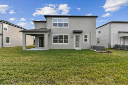 New construction Single-Family house 38433 Pindos Dr, Dade City, FL 33525 Mira Lago- photo 241 241