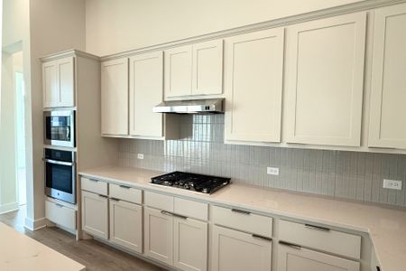 New construction Single-Family house 17313 Silverman Dr, Pflugerville, TX 78660 plan Johnson - image 7
