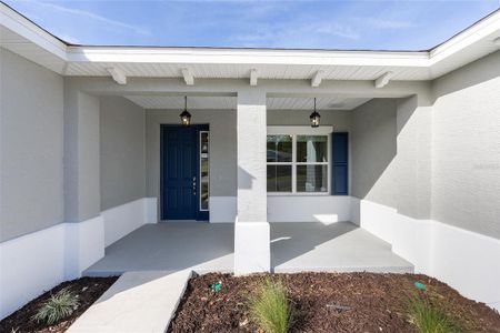 New construction Single-Family house 10055 Sw 106Th Cir, Ocala, FL 34481 plan Beatrix - image 4