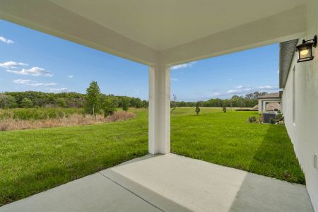 New construction Single-Family house 8425 Fox Den Cv, Lakeland, FL 33810 plan Liberty - image 4