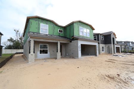 New construction Single-Family house 12146 Hilltop Farms Dr, Dade City, FL 33525 Cabo- photo 51 51