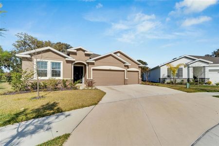 New construction Single-Family house 14069 Wineberry Drive, Dade City, FL 33525 - photo 0