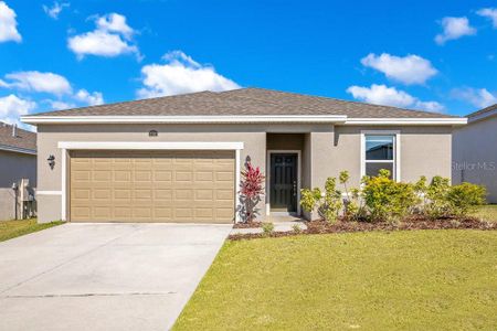 New construction Single-Family house 3761 Shoveler Ave, Leesburg, FL 34748 null- photo 0 0