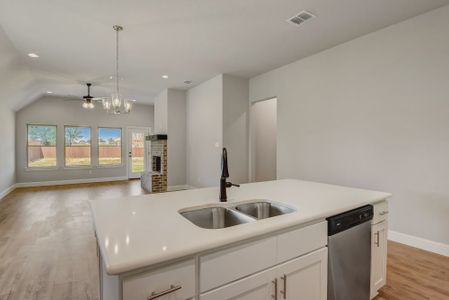 New construction Single-Family house Springtown, TX 76082 plan The Brazos - image 16