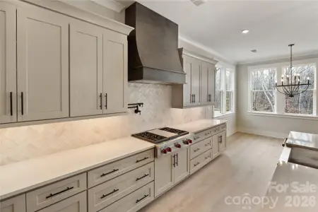 New construction Single-Family house 1017 Courtney Ln, Unit 16, Wesley Chapel, NC 28173 - image 4