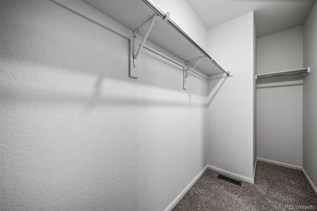 New construction Single-Family house 22335 E 39Th Ave, Aurora, CO 80019 - image 18