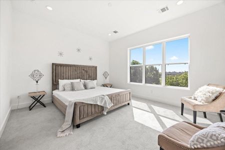 Middle Street Lofts on the Bayou by Urban Lofts Townhomes in Houston - image 13