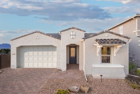 Verdin Discovery Collection 14