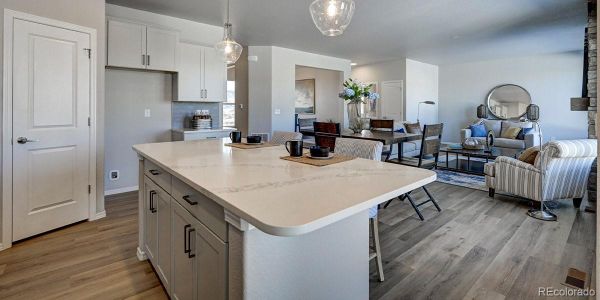 New construction Single-Family house 366 Hardstone Dr, Monument, CO 80132 - image 4