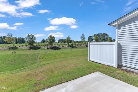 New construction Townhouse house 8918 Kennebec Crossing Drive, Unit 69, Angier, NC 27501 - photo 42 42