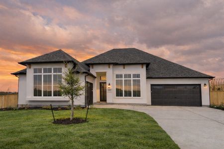 New construction Single-Family house 144 Agua Dulce, Bastrop, TX 78602 plan Savannah - image
