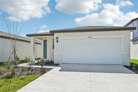 New construction Single-Family house 14049 Crutchfield Ct, Parrish, FL 34219 Everglade- photo 1 1