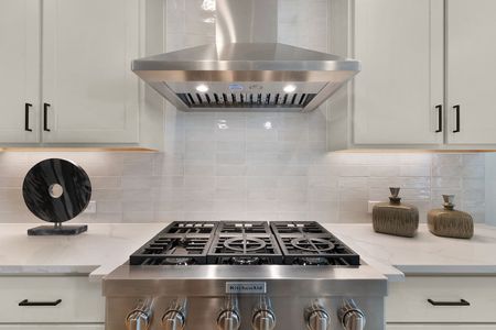 New construction Single-Family house 110 Agua Dulce, Bastrop, TX 78602 plan Savannah - image 17