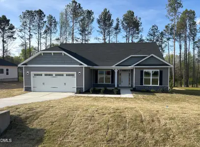 New construction Single-Family house 1755 Pecan Dr, Unit Lot 20, Nashville, NC 27856 - image