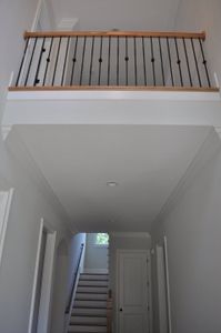 New construction Single-Family house 101 Mills Ln, Ball Ground, GA 30107 plan Dillard B - image 15