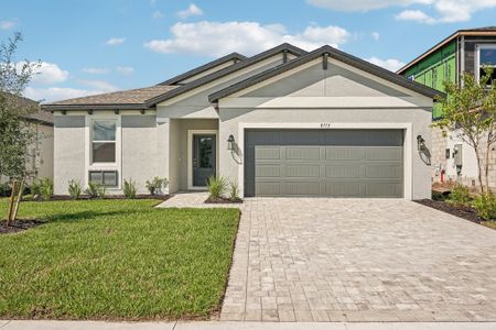 New construction Single-Family house 8713 Canard Cv, Palmetto, FL 34221 plan Augustine - image