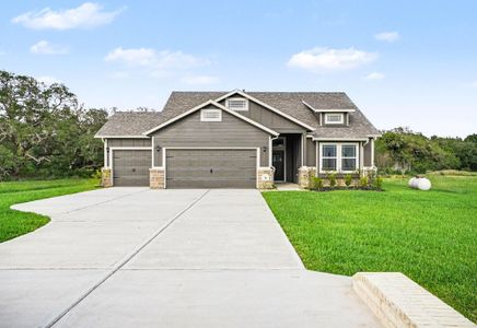New construction Single-Family house 16 Cattle Dr, Bay City, TX 77414 - image