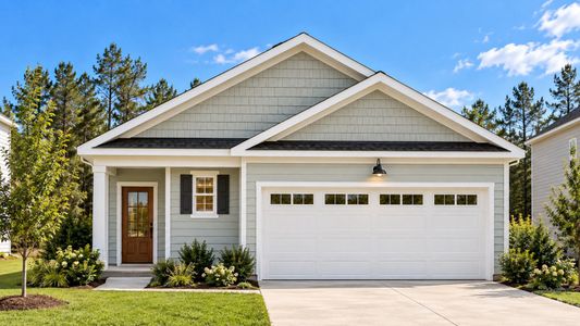 New construction Single-Family house 226 Tupelo Honey Rd, Brunswick, GA 31525 plan Jemison - image