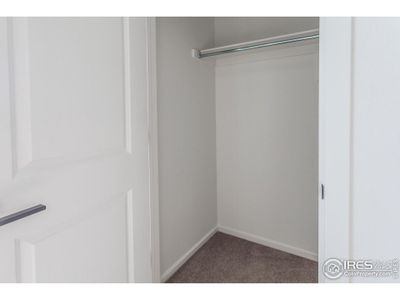 New construction Single-Family house 3254 Crusader St Ft, Fort Collins, CO 80524 - image 14