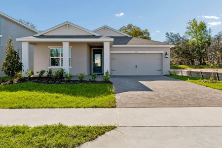 New construction Single-Family house 3126 Rein Ave, Davenport, FL 33837 plan Goldenrod II - image