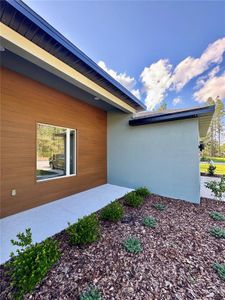New construction Single-Family house 13145 Sw 78Th Cir, Ocala, FL 34473 - image 18
