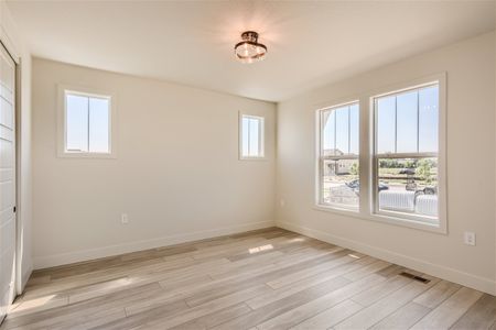 New construction Single-Family house 1923 Squib Ln, Fort Collins, CO 80524 plan Serene – Designed for Everyday Ease - image 17