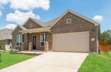 New construction Single-Family house 262 Muddy Creek Wy, Kyle, TX 78640 plan Azle - image