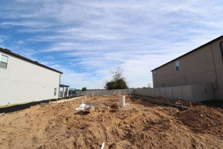 New construction Single-Family house 12252 Hilltop Farms Dr, Dade City, FL 33525 Cabo- photo 8 8