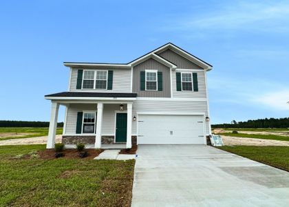 New construction Single-Family house Ludowici, GA 31316 plan The Denmark - image