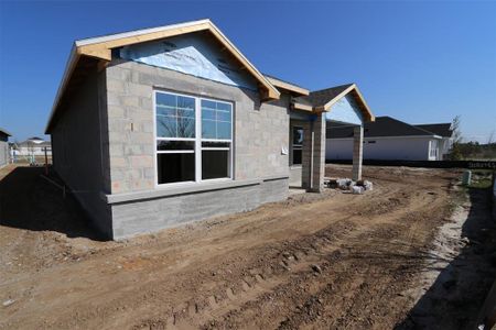 New construction Single-Family house 28784 Rambutan Dr, Wesley Chapel, FL 33543 The Mapleton- photo 4 4