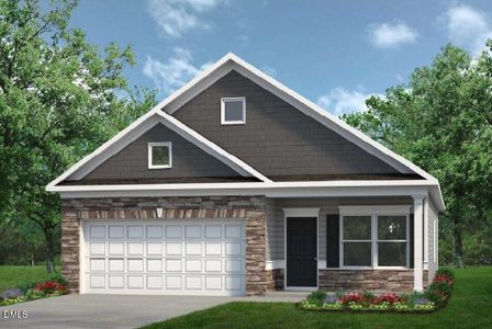 New construction Single-Family house 206 E American Marigold Dr, Benson, NC 27504 - image