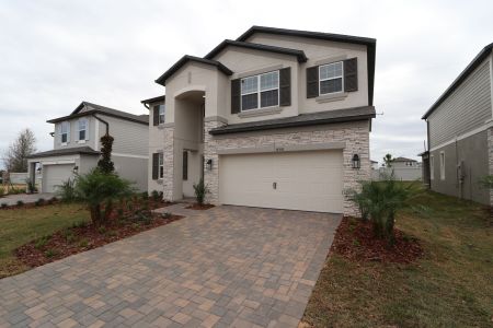 New construction Single-Family house 38338 Tobiano Loop, Dade City, FL 33525 Mira Lago- photo 130 130