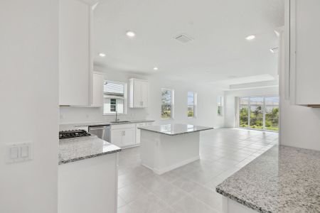 New construction Single-Family house 18036 Cherished Loop, Lakewood Ranch, FL 34211 Topaz - Villas- photo 44 44