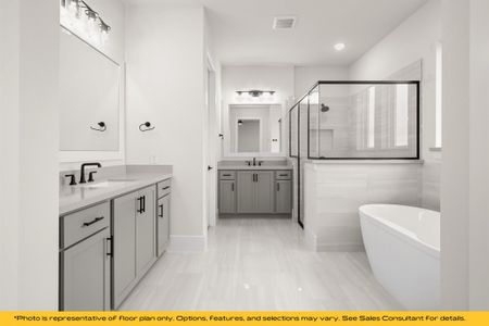 New construction Single-Family house 803 Albatross Ct, Forney, TX 75126 plan Vail - image 8