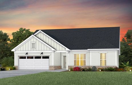 Forest Creek 48' Series Amberwood Elevation 11-CS1