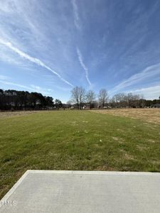 New construction Single-Family house 90 Pate Landing Dr, Selma, NC 27576 null- photo 15 15