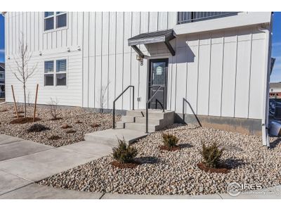 New construction Multi-Family house 2106 Falling Leaf Dr, Unit 8, Windsor, CO 80550 null- photo 2 2