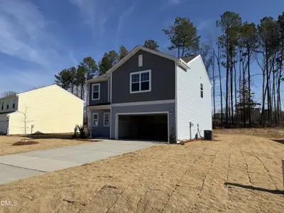 New construction Single-Family house 1397 Pond Overlook Dr, Nashville, NC 27856 - image