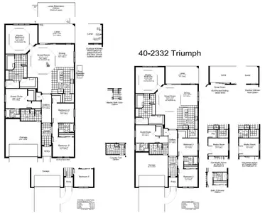 New construction Single-Family house 2440 Star Apple Wy, Lakewood Ranch, FL 34240 plan Triumph - image 4